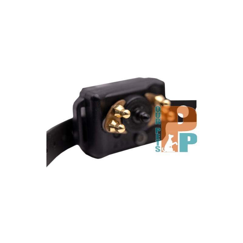 Short Point Comfort Pad CPAD-005 for Short Haired Dogs (For BP-504)