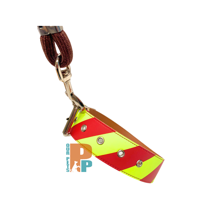 Dangerous Dog Collar - Small