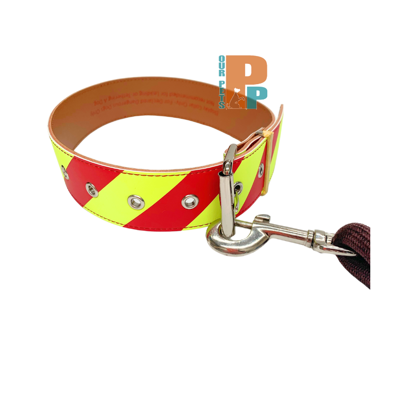 Dangerous Dog Collar - Extra Small