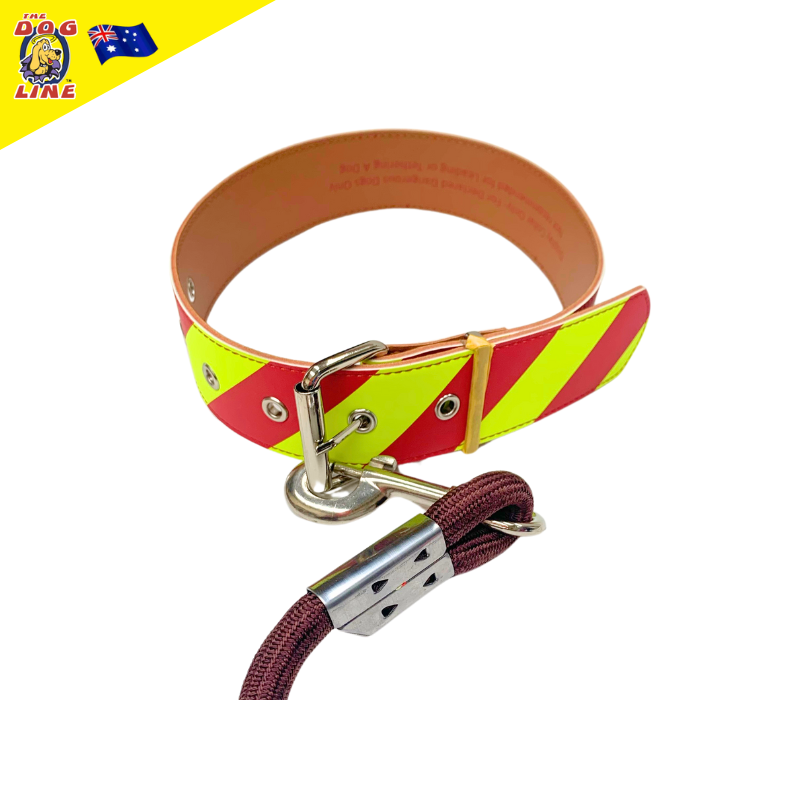 Dangerous Dog Collar - Large