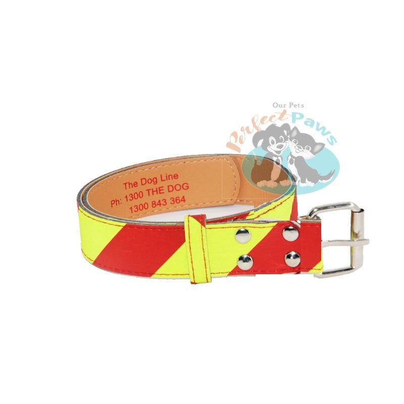 Dangerous Dog Collar - Large - 50mm Wide