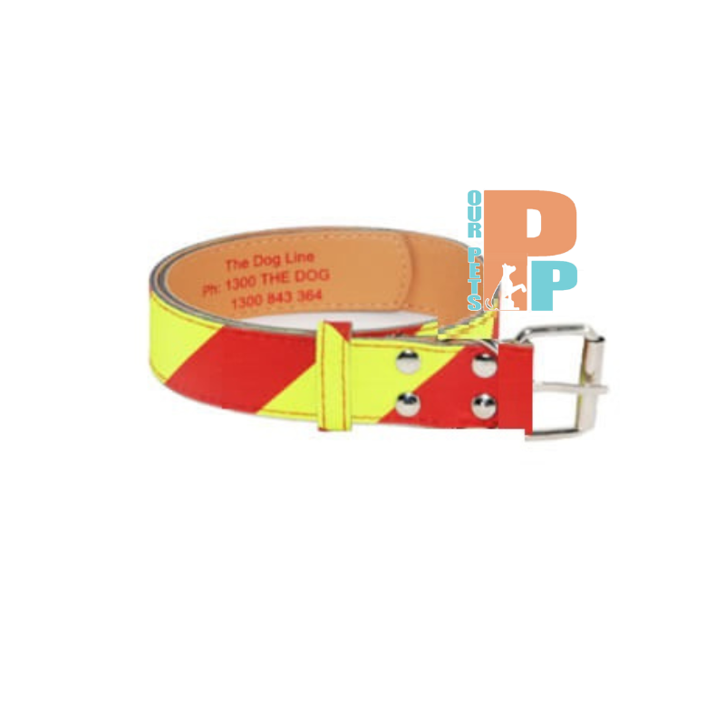 Dangerous Dog Collar - Large - 50mm Wide