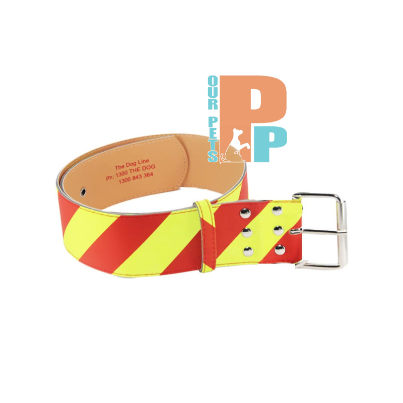 Dangerous Dog Collar - Small - 25mm Wide