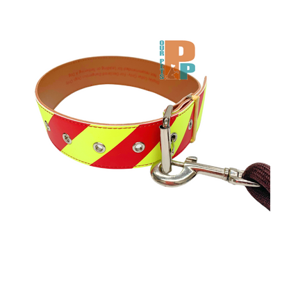Dangerous Dog Collar - Extra Small