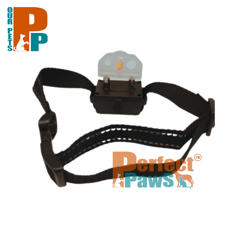 A bark collar best sale