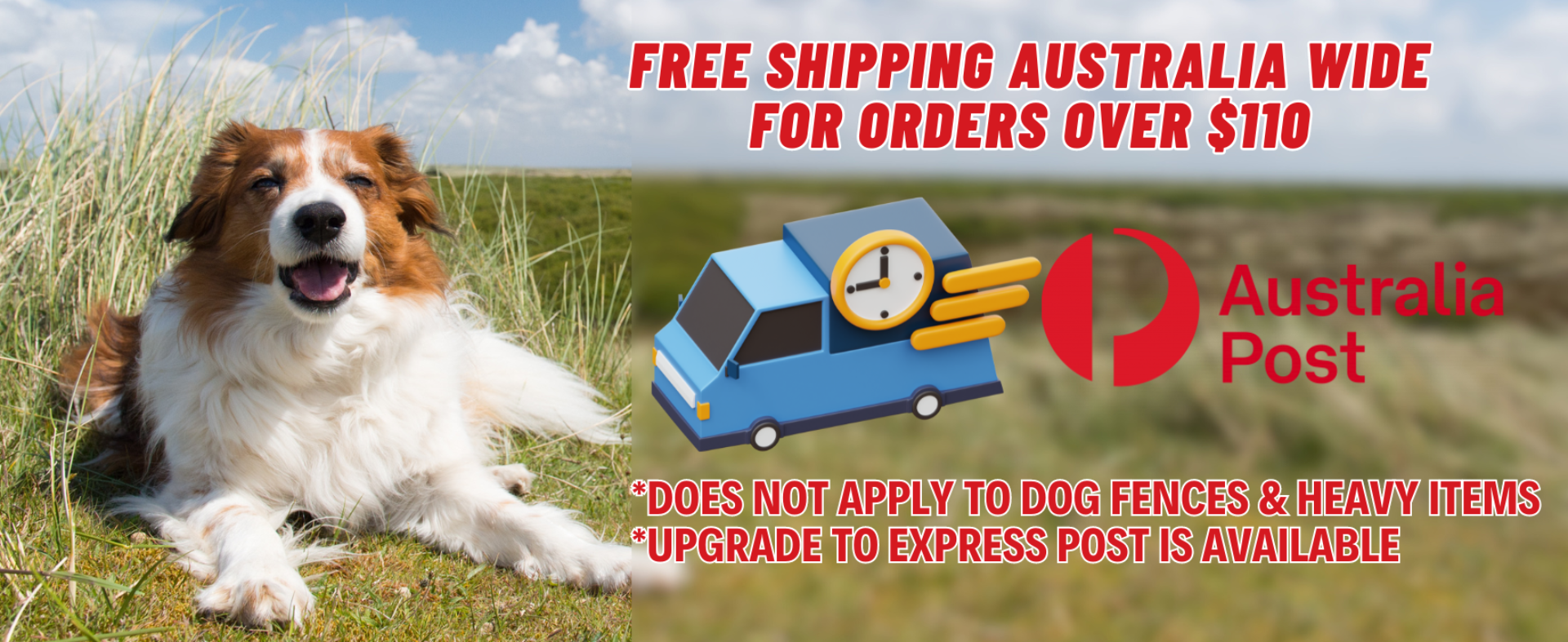 Perfect Paws Free Shipping