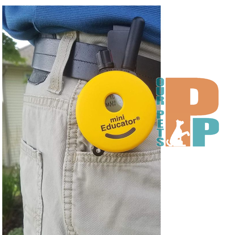 Ecollar Belt Clip for Educator Remote Transmitters
