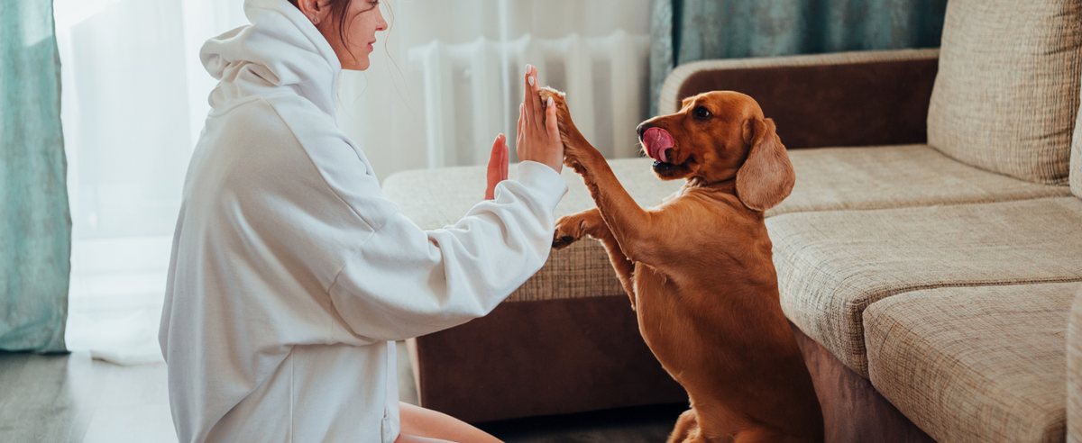 Our Pets Perfect Paws Australia