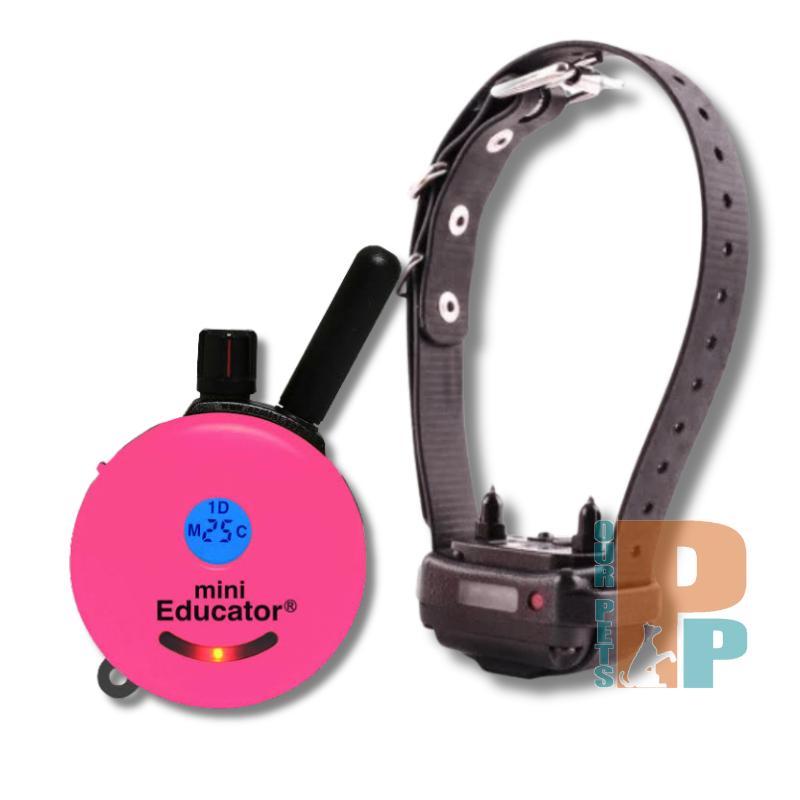 ET-300 Mini Educator Remote Trainer - Pink Series