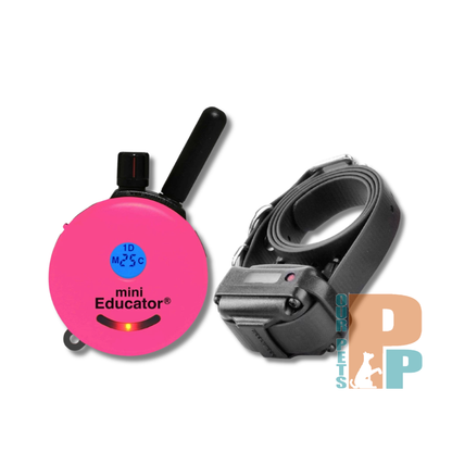 ET-300 Mini Educator Remote Trainer - Pink Series